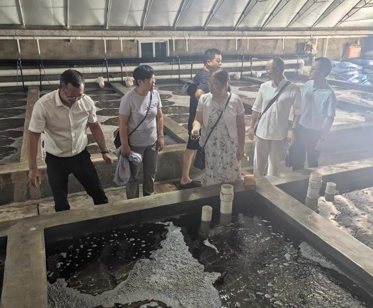 科技賦能，綠色養(yǎng)殖 福建科特派攜手霞浦企業(yè)推動海參產(chǎn)業(yè)鏈升級與室內(nèi)環(huán)境治理